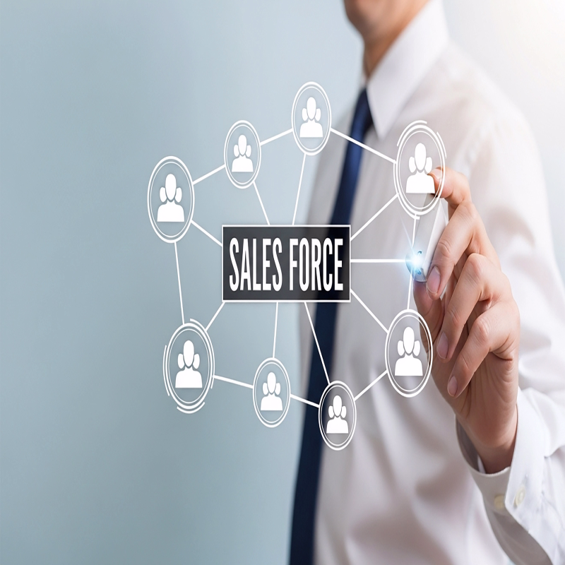 Salesforce Solutions for Key Business Functions